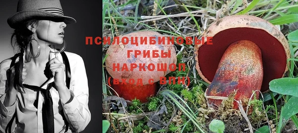 прущая мука Карталы