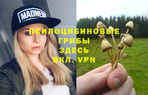 прущая мука Карталы