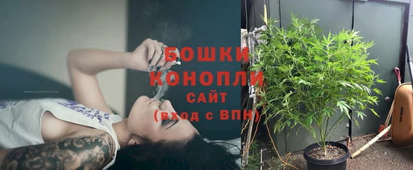 PSILOCYBIN Касимов