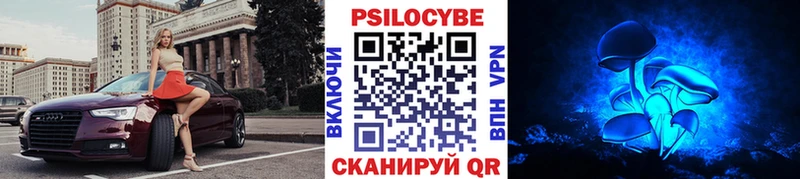 Купить закладки  Зверево  Галлюциногенные грибы прущие грибы 